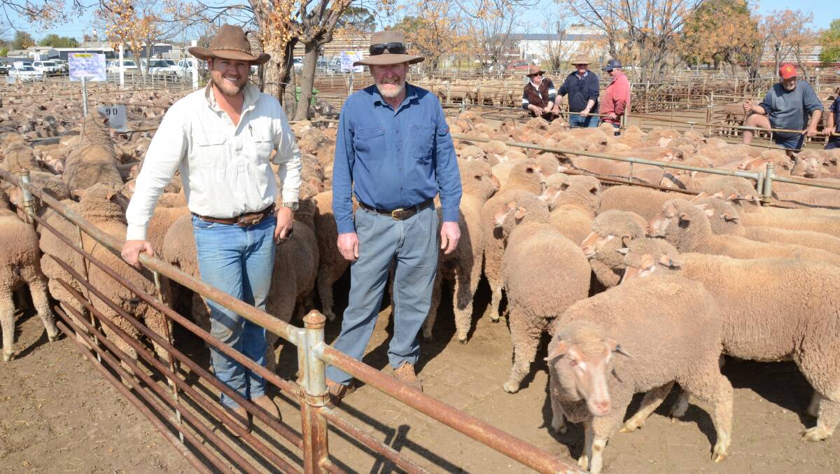 Brad McKenzie and father-in-law Alan Ireland with the Ireland’s $262 top-priced Merino ewes of One Oak blood, May 2016 drop which were the best young sheep pen of the sale bred by Alan and Jennifer Ireland, “Allonvale”, Tullibigeal.