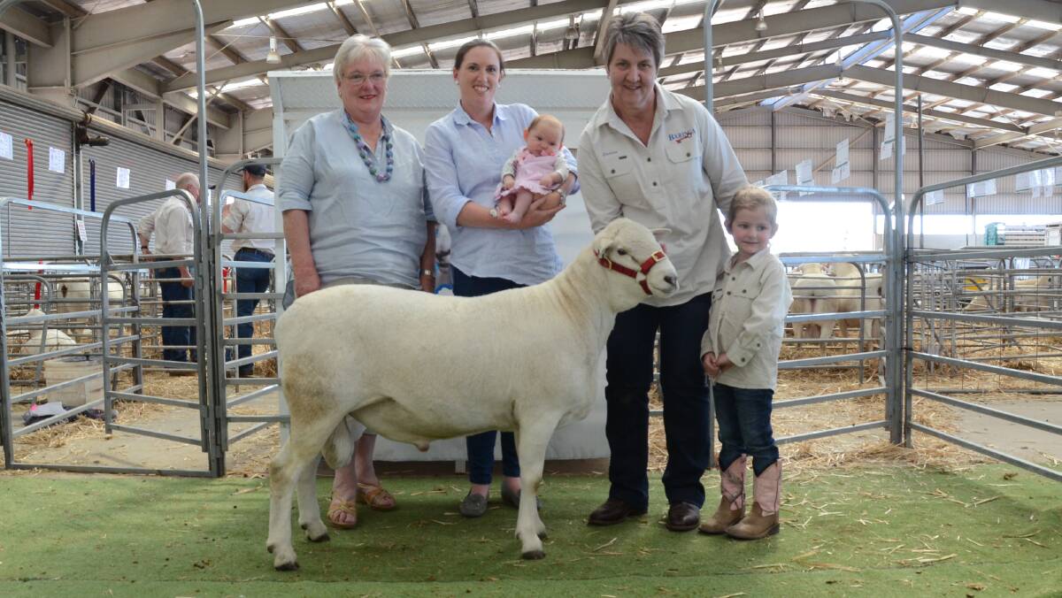 Gai and Brooke Rayner with recent arrival, Adalyn, Grathlyn stud, Hargraves, with their $12,000 top price purchase (member of winning pair) from Baringa stud, Oberon, held by Donna Gilmore and grand-daughter, Mackenzie.