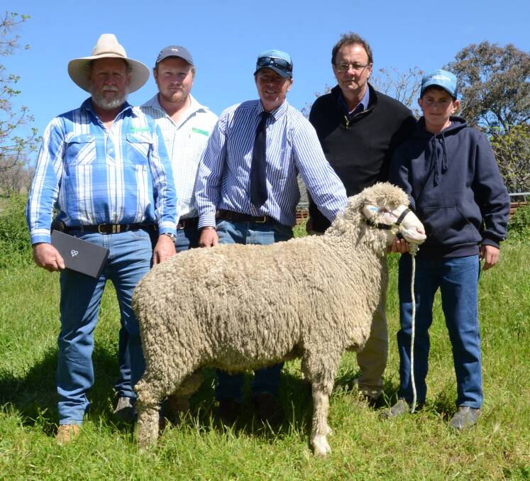Paying the other $5000 were Mark Murphy and son, Luke, Karbullah Poll Merino stud, Goondiwindi, Qld, for a twin son of Glenwood 110114 with 17.3 micron wool and high eye muscle depth and staple length ESBVs.