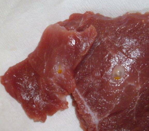 Unsightly sheep measles cysts show out on meat trimmed off a cut of lamb.