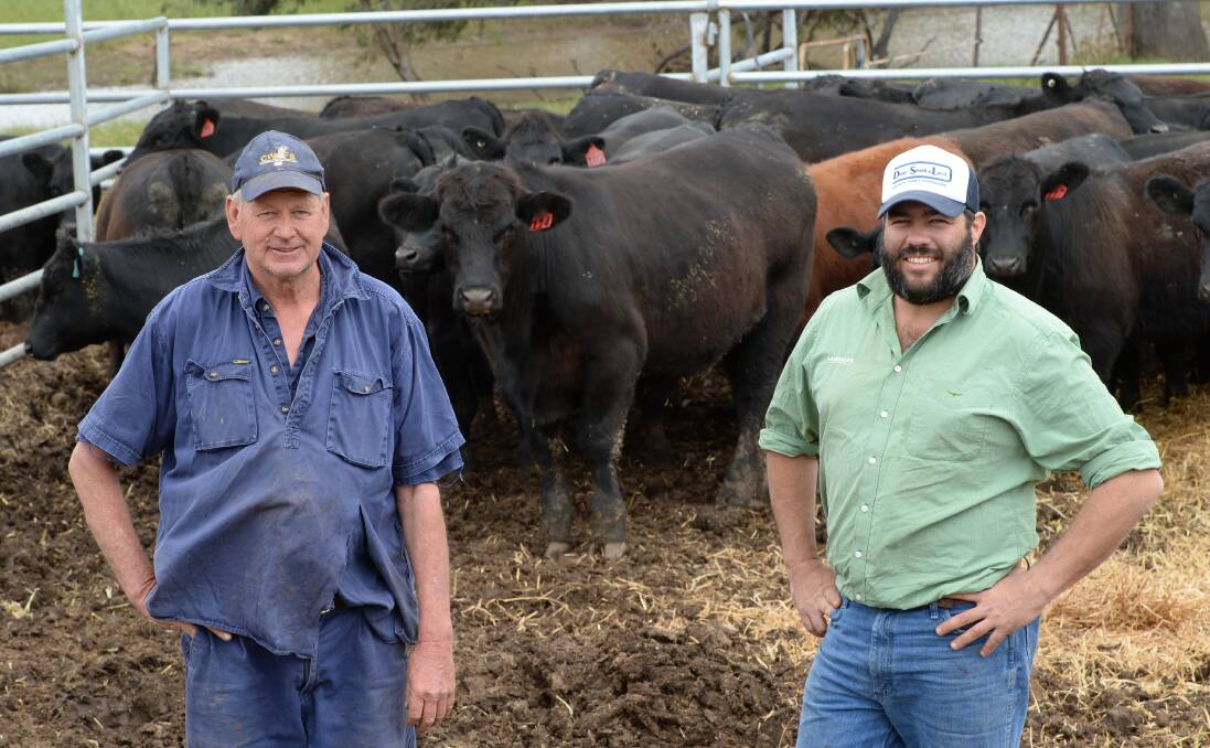 Greg Sutcliffe with his agent, Will Dean, Landmark, West Wyalong, with their next draft of Angus and Angus-cross steers ready for market weighing up to or over 400 kilograms, bred at "Wyreena" on the Quandialla Road.
