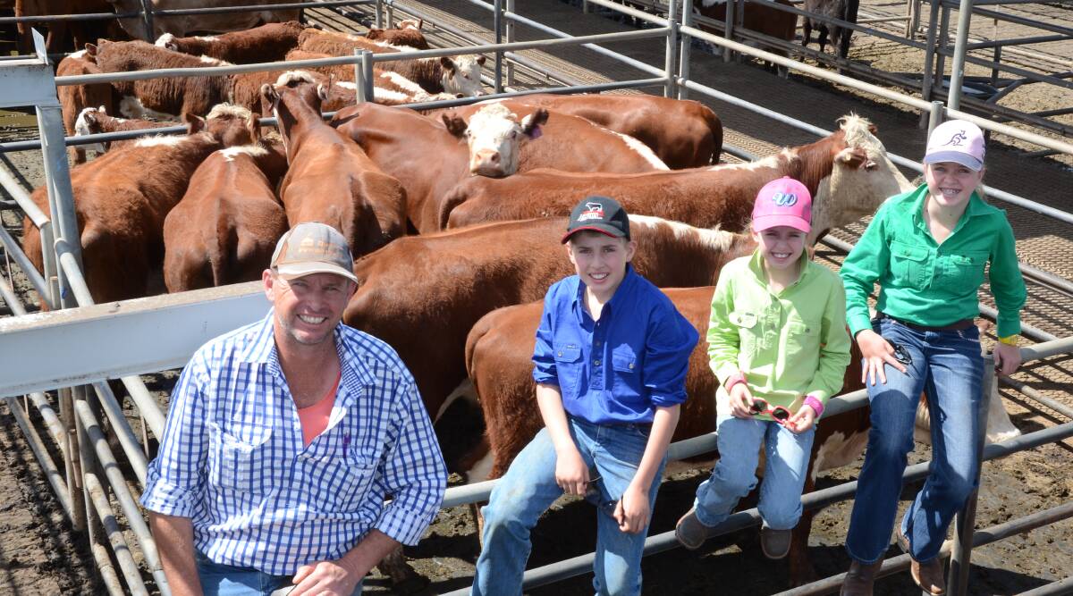 The Willis family, “Taragundi”, Dubbo, Bruce with children Rein, Maggie and Isabelle, liked this pen of Poll Hereford cows with calves which sold for $2175 a unit.