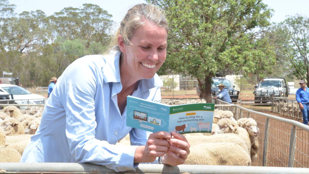 Merino flock owner Alison Kensit, Redbank Park, Dunedoo, says the pocket guide has easy to follow, commonsense pointers for everyone.