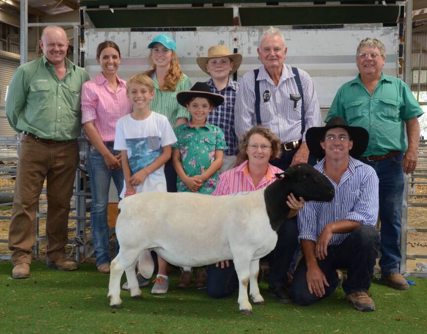 The $6000 sale-topper Netanya Dorper ram that sold from Ron and Dandy Pagett, Wee Waa, to his Borther and families of Winrae stud now at Canowindra. At left is John Settree, Landmark Dubbo, Auctioneer.