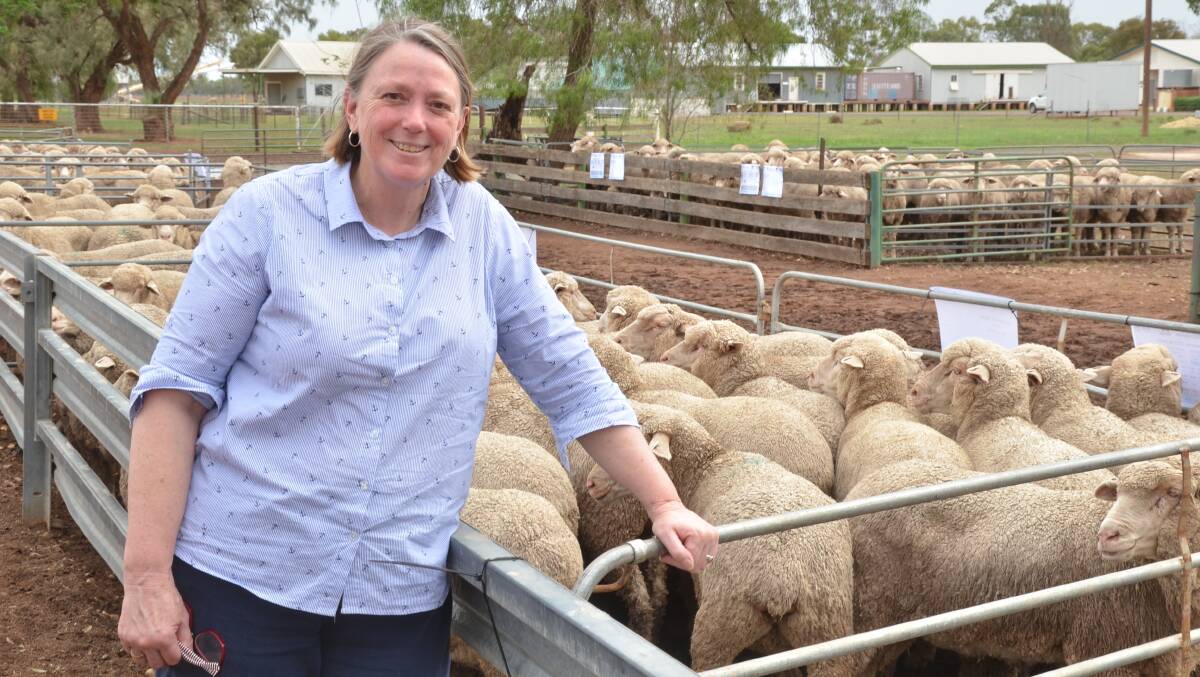Animal Health Science researcher, Narelle Sales of the DPI laboratories at Elizabeth Macarthur Agricultural Institute (EMASI) , Menangle, was guest speaker at the recent Macquarie Merino Lifetime Productivity Project field day,Trangie Agricultural Research Centre.