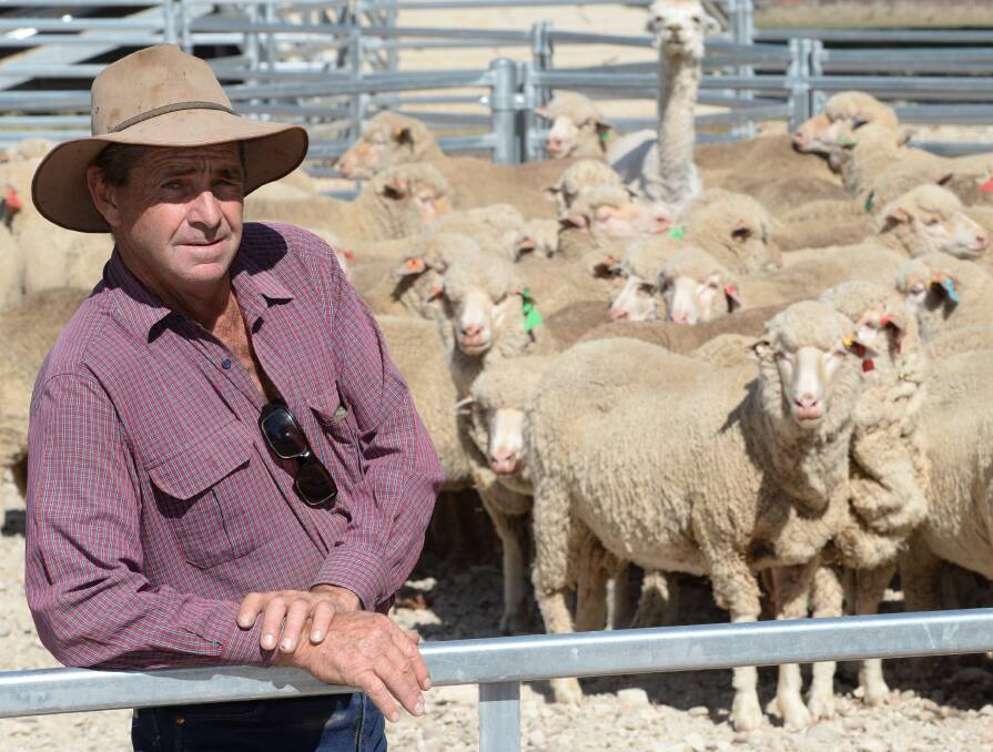 James Derrick, pictured with ewes at "Karoola Downs, "Adelong, says ovine brucellosis can be eradicated from a flock. “It is a primary disease of rams, so dry ewes in isolation become generally free after one to two cycles."