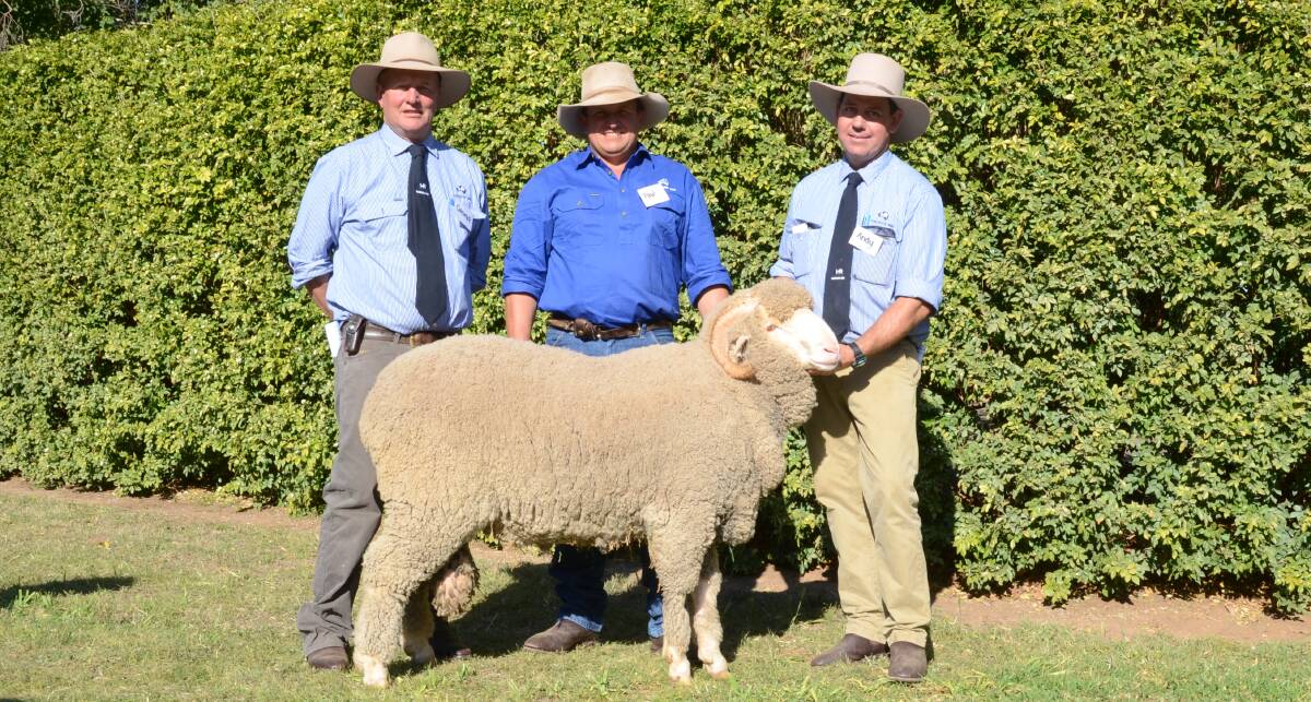 George Falkiner, Haddon Rig principal, Paul Kelly and Andy Maclean with $11,000 top-priced Merino ram selling to Mal and Jenny Smith, Roaming, Nevertire.