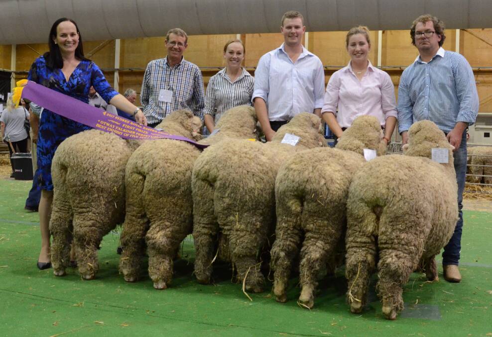 Megan Giannini, NSW Merino sheep breeders executive officer, sashes the winning Otway Falkiner Cup Poll Merino group of five shown by Bocoble stud, Mudgee, with Malcolm, Bec and Hayden Cox holding the rams while Georgie Walters and Andrew Rayner hold the ewes.