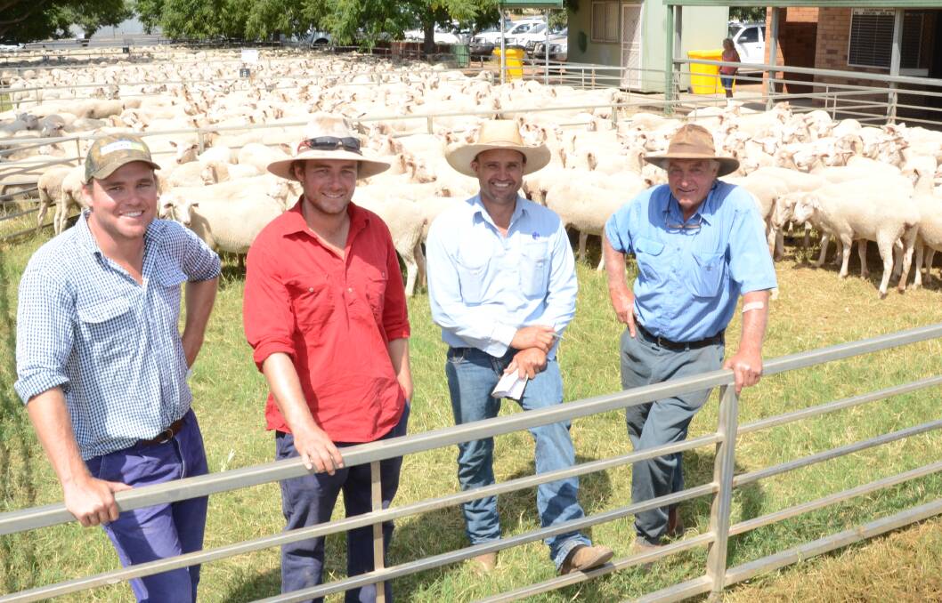 The Freeth family, “Greentree”, Collie, bred the $236 top-priced pen of 330 First cross ewes, June/July 2016 drop, January shorn, selling to a Forbes restocker. Pictured are Andrew and Marc Freeth, agent Tim Wiggins, Christie and Hood, Narromine, and David Freeth.