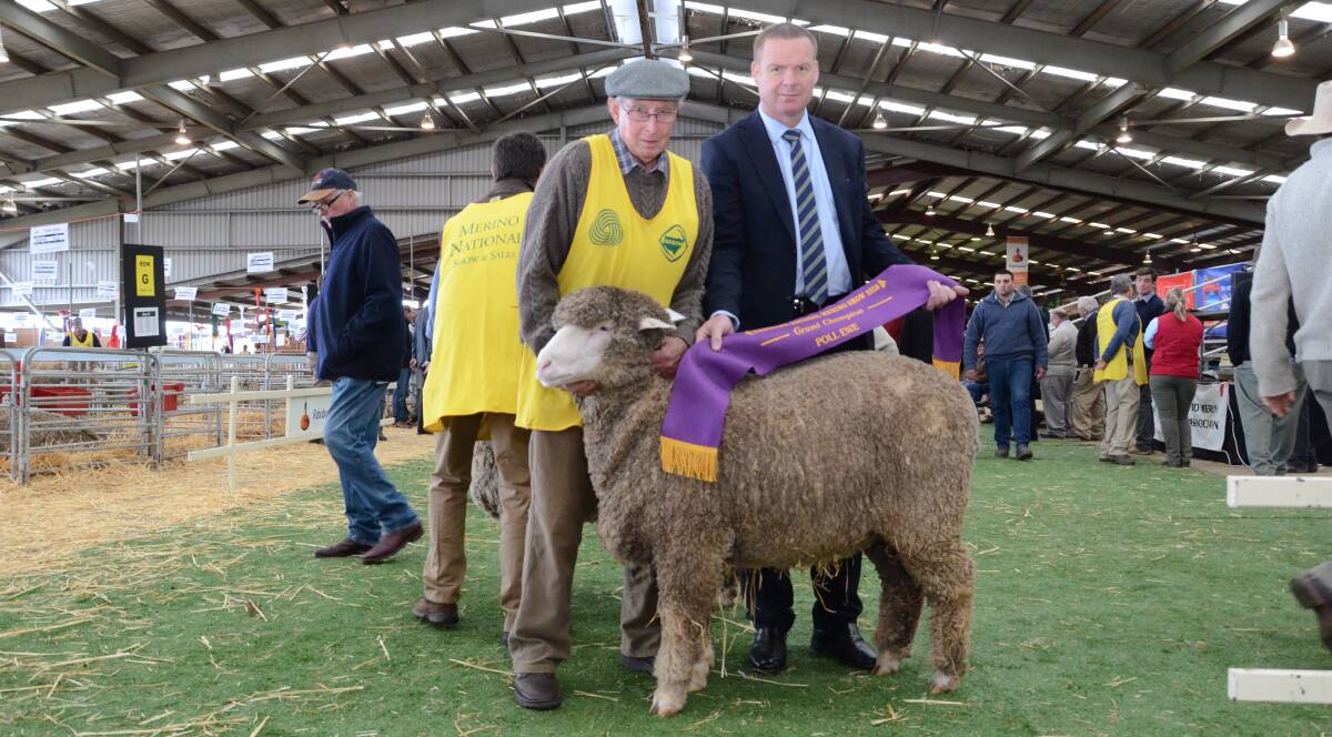Ross Wells, Willandra stud, Jerilderie, holds his junior and grand champion Poll Merino ewe, sashed by Rabobank National Manager, Country Banking, Todd Charteris.