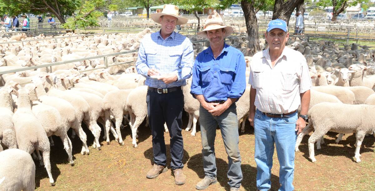 Angus Barlow of Barlow Peadon Agency, with Gordon Irving, “Toucan”, Warren, in his top $228 pen first-cross ewes with buyer, Graeme Clements, JJ Dresser, Woodstock.