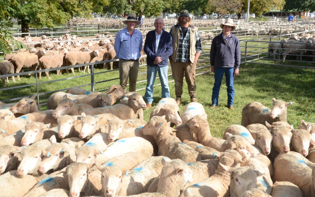 Commercial Merino ewes from the Lindsay family, “Cora Lynn”, Peak Hill, topped the section at $181. Pictured are Bill Gibbs, Hartin Schute Bell, Narromine, with Rob and Steve Lindsay, and buyers, Jack Pippin, Spencer and Bennett, Griffith, buying on behalf of a Murrami district restocker.