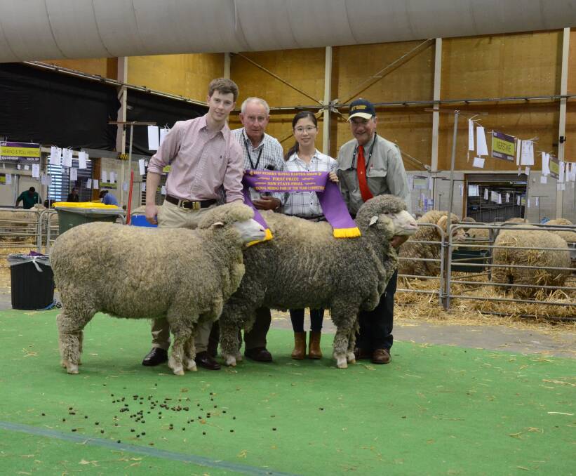 Winning National Merino Pair from Willandra Poll stud, Jerilderie, which will now represent NSW in the final at Australian Sheep and Wool Show, Bendigo, Victoria, in July. Pictured with the fine-medium wool pair is Angus Heath holding the ewe, studmaster Ross Wells and Heidy Heath holding the ribbon, and Peter Geffs holds the ram.