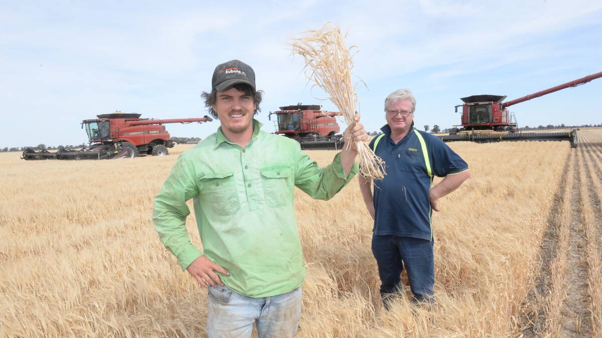 Planet barley, the first crop to be stripped on Dayfarms, Oaklands, in the Riverina. Shannon Day shows a sample of the 2.5 to 3 tonne yield with his father, Peter, in front of three of four headers working right up to last weekend's rain.
