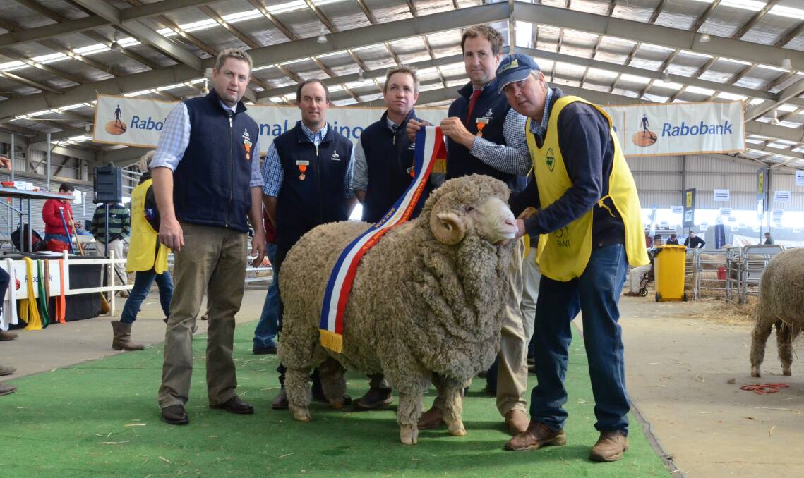 Champion sale ram with judges. Langdene stud exhibited the ram Lot 11, which was earlier judged champion superfine/fine wool ram and held by Garry Cox, Langdene stud, Dunedoo.