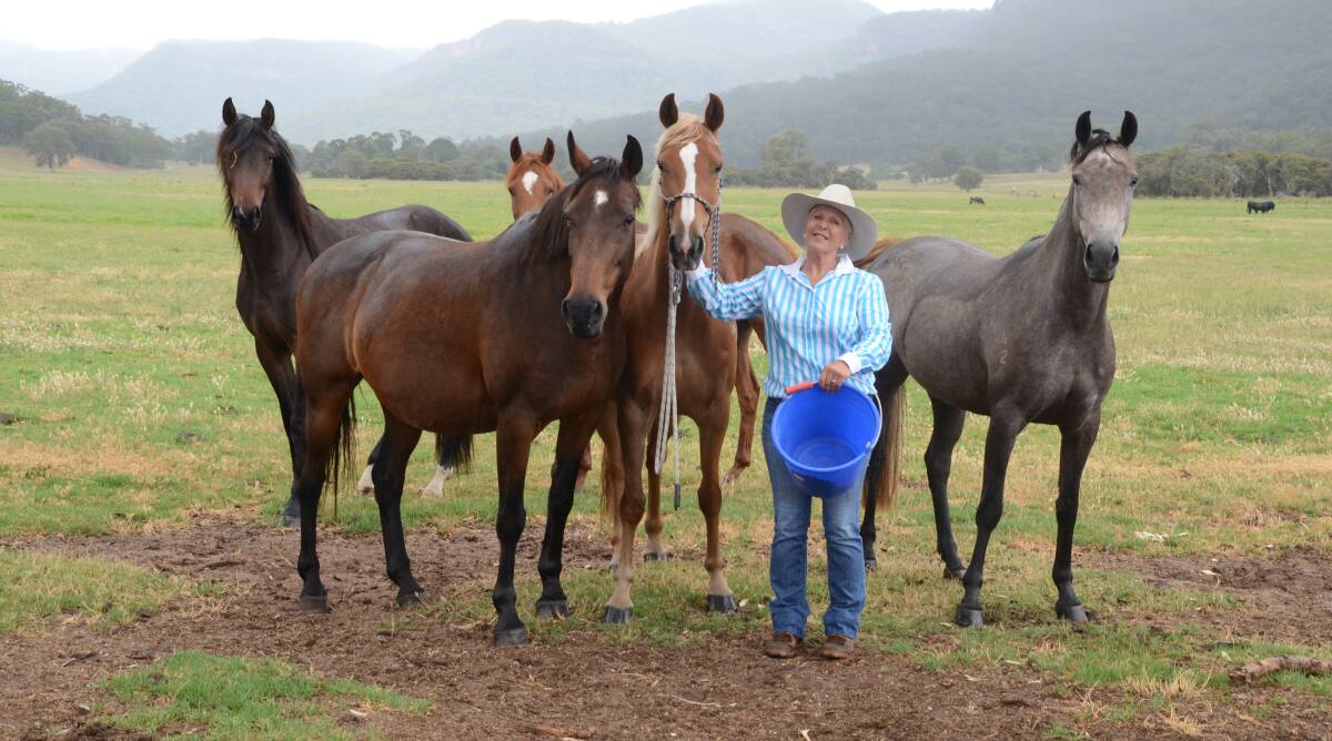 Mrs Richardson with Australian Stock Horses at "Eurella", Glen Alice, where she also breeds Angus cattle with husband, Bruce.