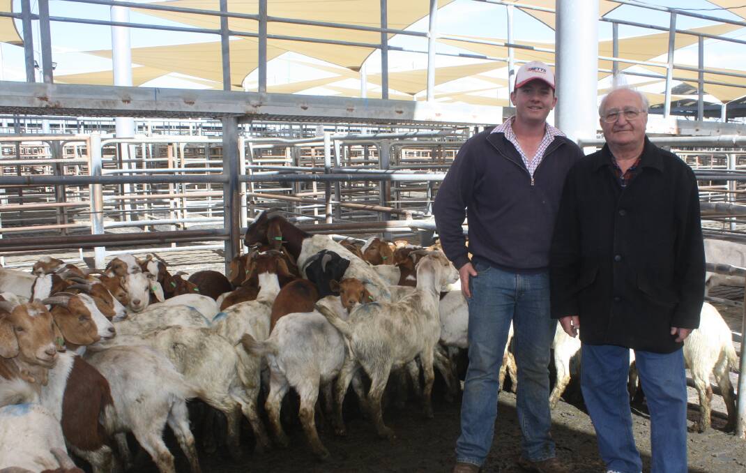 Lachlan Mann, PT Lord, Dakin and Associates, Dubbo, with buyer Doug Tanovic, Kemps Creek, at Dubbo goat sale on Tuesday. Mr Tanovic bought 30 wethers for $350 a head.