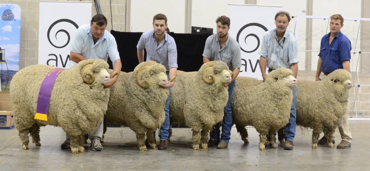 Merryville stud, Boorowa, displays its 27th winning group of five Merinos of the Stonehaven Cup, this year with a fine wool team, with Wally Merriman and nephews Alec and Jock holding the rams while their father, George and Jeremy Dreverman hold the ewes.