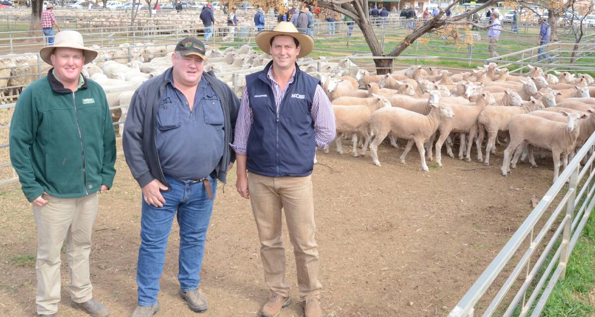 Marcus Bruce, Landmark Wilson Russ, Narromine, with Ray Townsend, Eugowra, (buyer of $200 top-priced first-cross ewes from Packham family, “Alloway’, Narromine) and his agent Hugh Dobell, McCarron Cullinane Chudleigh, Forbes.