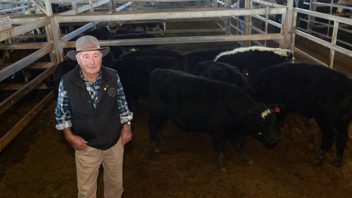 Geoff Moore, "Glenhaven", Ilford, bought eight  Angus steers at $800 each. He plans to keep them for eight to10 months and sell again close to Christmas.