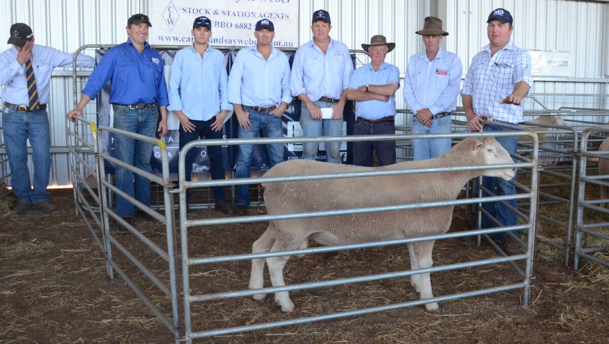 The $2500 autumn drop top-price ram with vendors, agents and buyer, Ross Bayliss, third from the right, Roselea, Bakers Swamp.