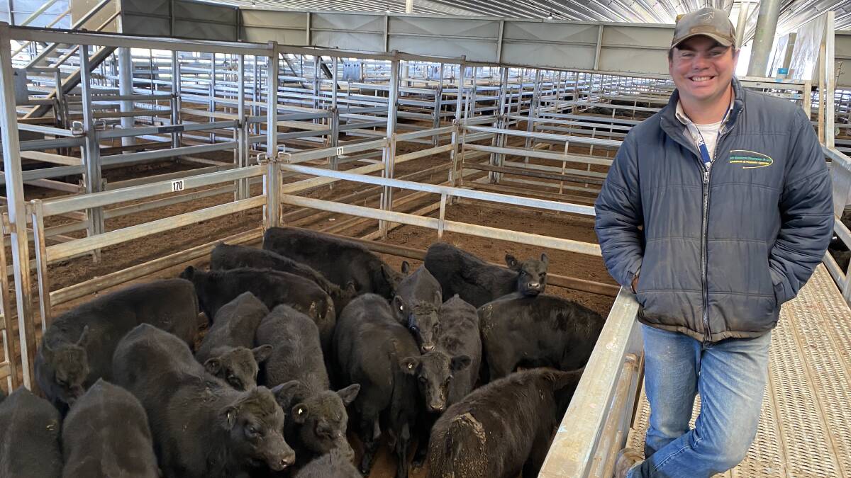 Scott Johnston of PR Master Stephens and Company with 18 Angus heifers weighing 221kg average made $1120 selling to a local Cowra restocker at 507c/kg.