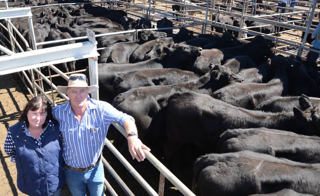 Jill and John Halsted who manage Hampshire Station, Merriwa, with their pens of 160 Angus steers, spring 2015 drop of Eaglehawk blood which sold to a top at $1420 and averaged $1309 A draft of 67 heifers sold at $950 each.