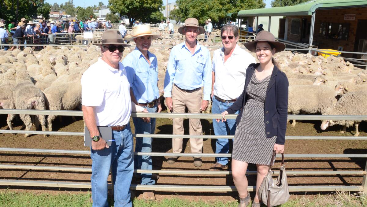 Buyer Paul Higgins, "Ferndale", Crookwell, paid top Merino ewe price of $181 for 219 August shorn 3 1/2 year-old ewes of Haddon Rig blood to join to Border Leicester rams for first cross production. With his is Sam Ryrie and Paul Alchin, Christie and Hood, Narromine and Gilgandra, and vendor Robert Perry, "Bonnie Doone", Marthaguy, with Juliette Guittiere.
