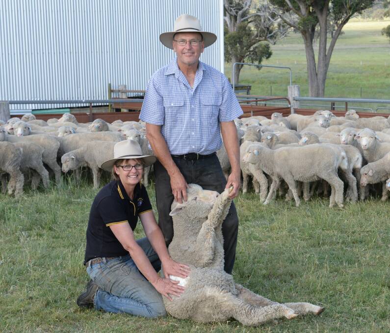 Robyn and Steve Johnston are delighted with their "Oakhurst" Merino flock win in the 2012-2015 Northern Tablelands Merino Wether Trial.They are pictured with a yarding of lambs at Deepwater.