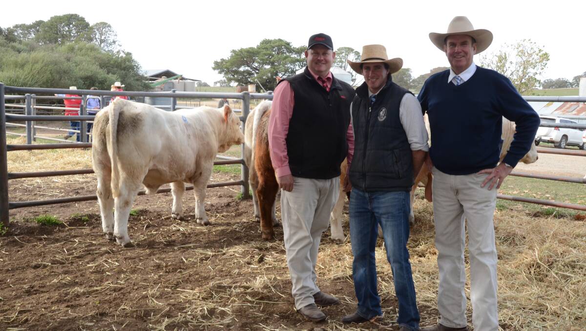 The $14,000 sale-topper, Rosedale nagel (P), with Elders Bathurst's Andrew Bickford, James Millner of Rosedale stud, and guest auctioneer, Paul Dooley, Tamworth,