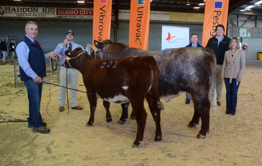 Terry Williams, Terra stud, holds Terra Wave M18 (P) ($5250) and Ned Williams, Polldale stud, holds Polldale Lucifer L89 (P) ($5000) with Mark Willis and Dan Guest of Dectomax-Zoetis and beyondblue ambassador, Fiona Coote.