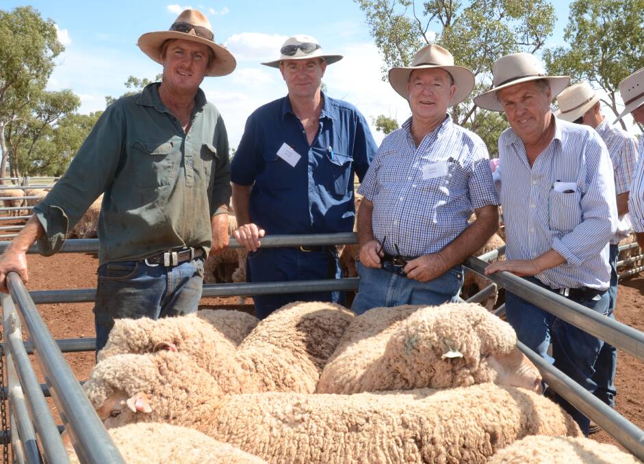 Corella flock owners Tom, Gavin and David Stuckey, Condobolin, and flock classer Chris Bowman, look over some of the maiden ewes which won the 2016 Don Brown Merino Ewe Compeititon this week.