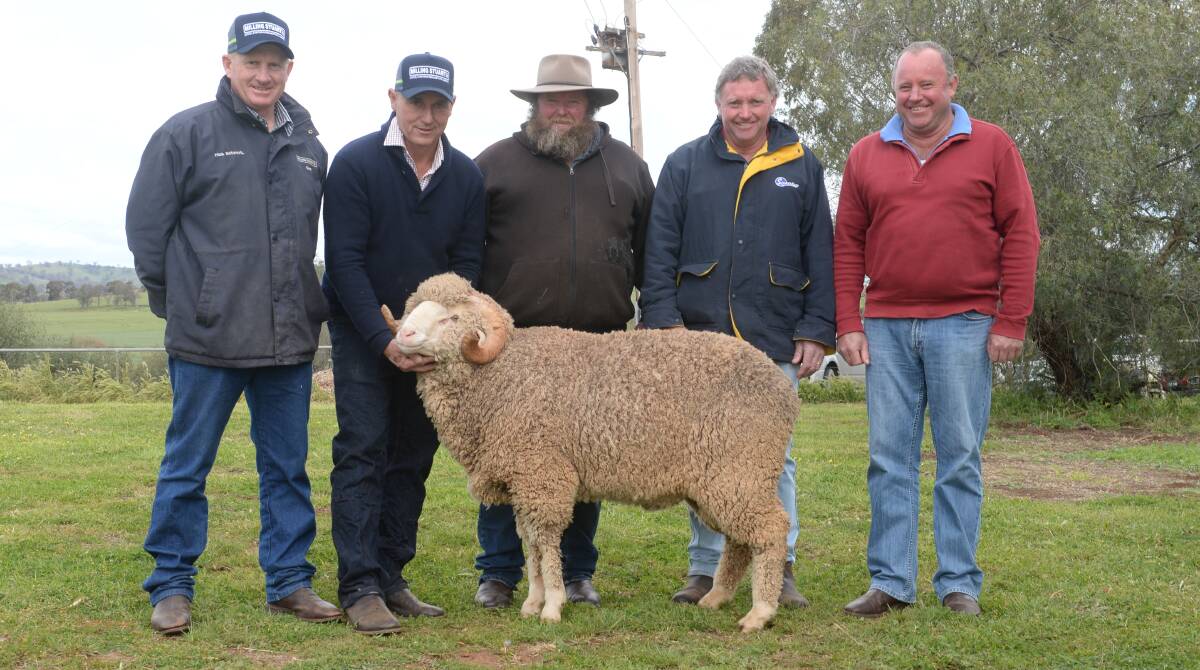 The Doherty Brothers, Klondyke, Goolma, returned to pay $4000 top price at the 26th Annual Allendale ram sale. Pictured is auctioneer Angus Stuart, Milling Stuart, Dunedoo; Allendale principle, Tony Inder holding ram with buyers Collin, Peter and Mark Doherty, Klondyke, Goolma.