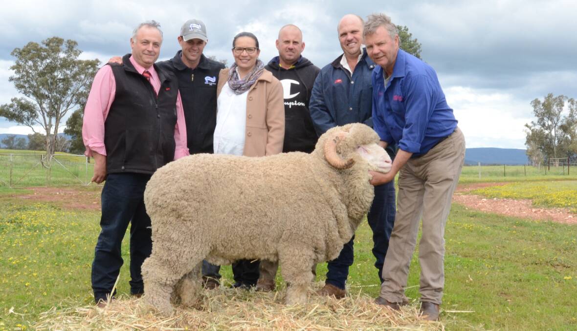 The $7500 sale-topping Merino ram with Scott Thrift, Elders Stud Stock, Dubbo; Blake and Danielle Tremain-Cannon, Westray principals; buyers Kim and Phil Swain, Budda-View, Peak Hill, and Ray Cannon, Westray stud, holds the ram.