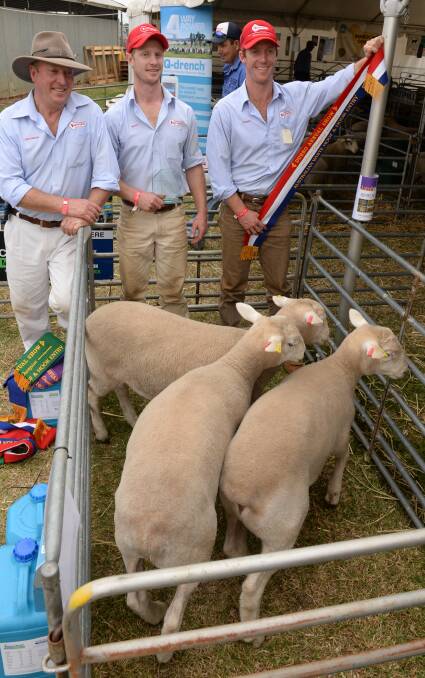 Graham, Ross and James Gilmore, "Tattykeel", Oberon, stand proud by their pen of Aussie White lambs which took out the overall hoof and hook championship.