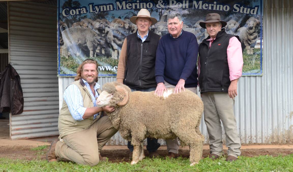 Steve Lindsay holds the $4000 to-price ram for buyer Garry Carney (centre opening the wool) with his classer Allan Clarke, Dubbo, and Scott Thrift, Elders, Dubbo.