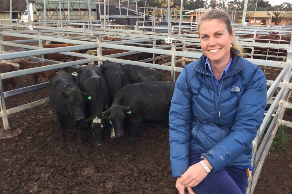 Alison Kensit, "Redbank Park", Dunedoo, with her pen of five Angus-cross cows with Santa Gertrudis-cross calves which topped the Dunedoo sale at $1900 a unit.