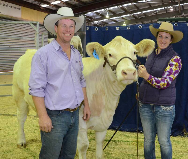 Glen Waldren and Kim Groner, Elite Charolais, Meandarra, Qld, with their $10,000 top-priced heifer Elite Tinsell L14 (P) purchased by Milford Charolais, Beaudesert, Qld.