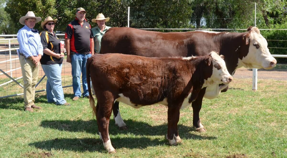 Equal top $13,000 female, Kidman Countess J036 (P) with Nelson Carlow; buyers Felicity and Graham Reeves, and Landmark Dubbo's John Settree.