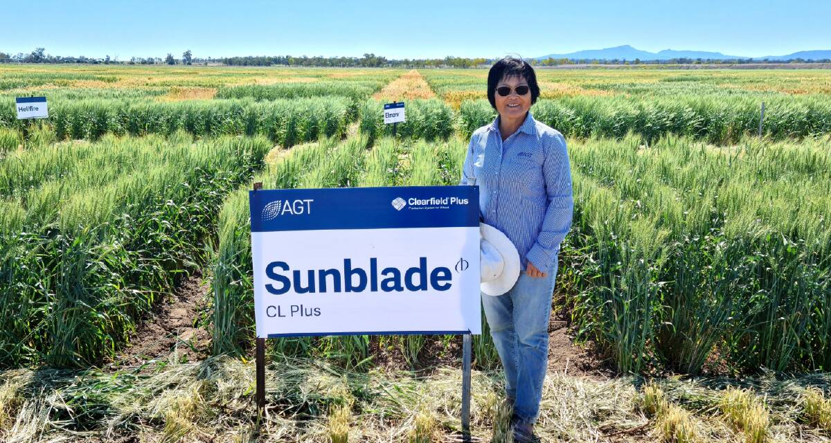 Senior AGT breeder Meiqin Lu at the release of Sunblade, one of AGT's four new wheat varieties for 2021 sowing from their Narrabri centre wheat breeding program.