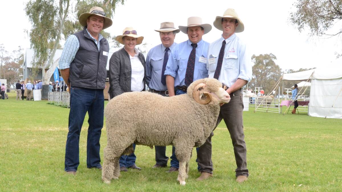 St Hillary stud, Bukkulla, paid $10,000 second top price. Pictured are buyers Spike and Kirsty Wall; Malcolm Kater, Egelabra, and Paul Kelly, classer, and Kieran McHugh.