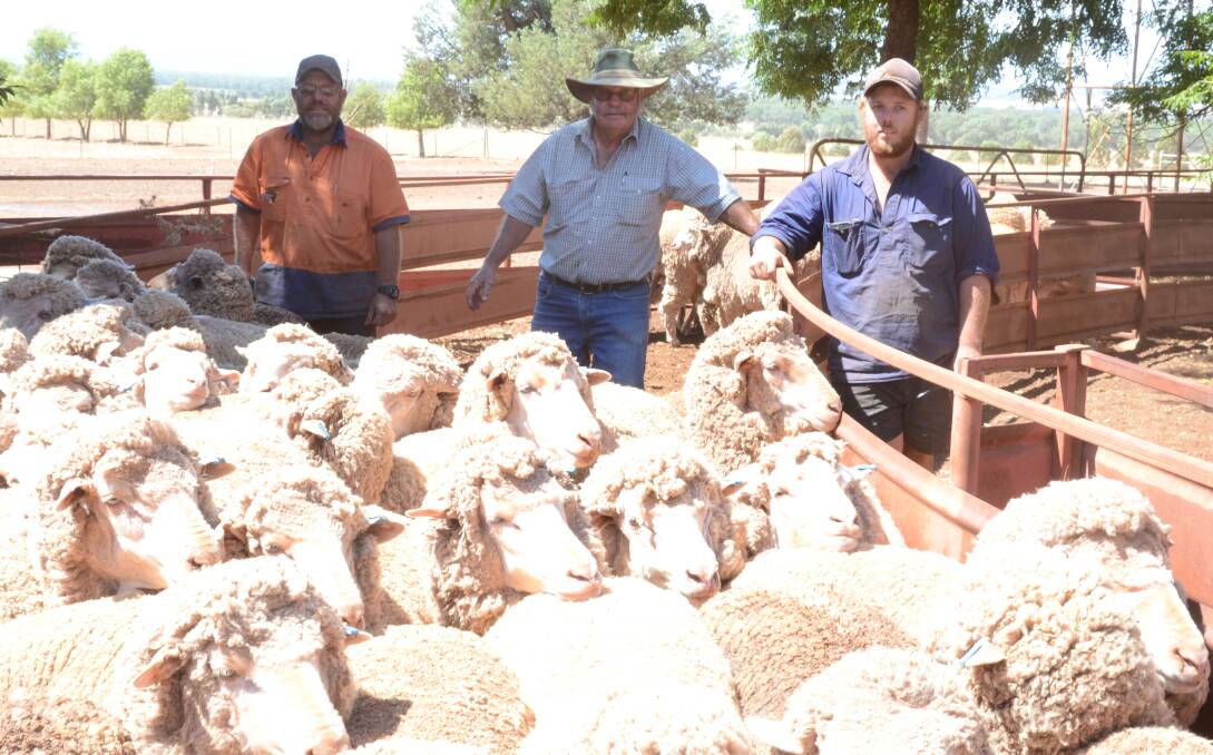Andrew, Roger and Colby Hood, the three generations of Hoods on "Cherry Gardens", Parkes, whose Haddon Rig and Overland blood Merino flock was runner-up in the Parkes maiden ewe competition in February.