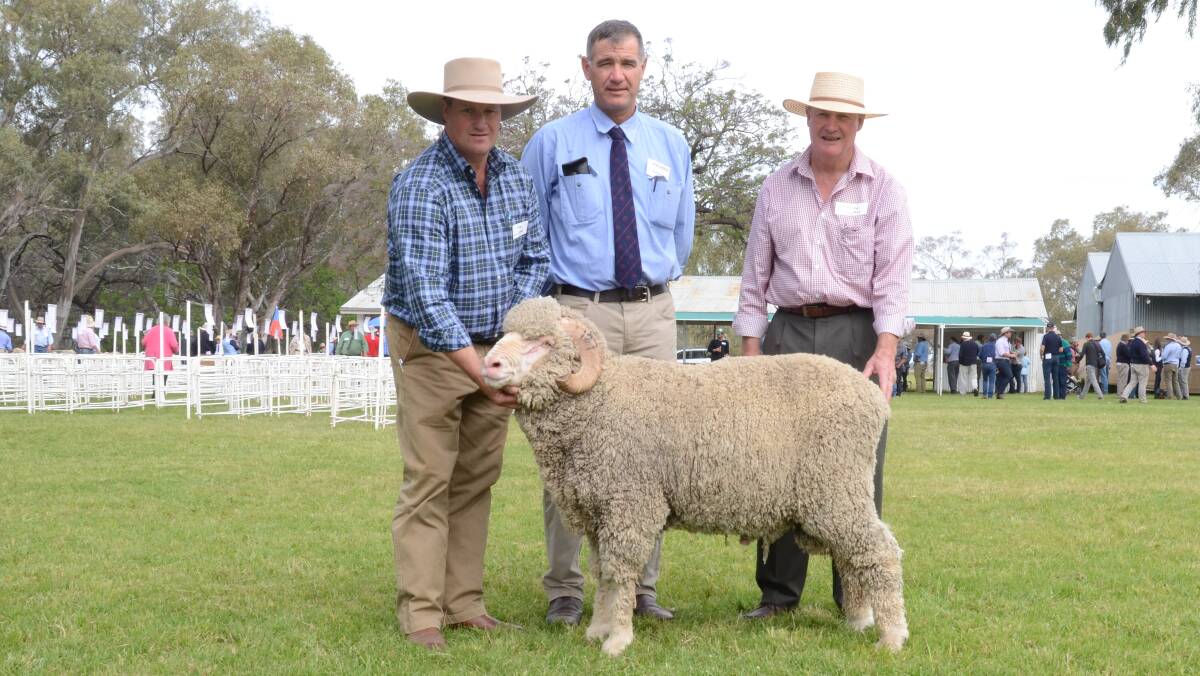 Rockdale stud, Canowindra, paid $5500 top selected ram price for this ram held by co-principal Oliver Wythes; Egelabra manager, Cam Munro, and Phillip Wythes.