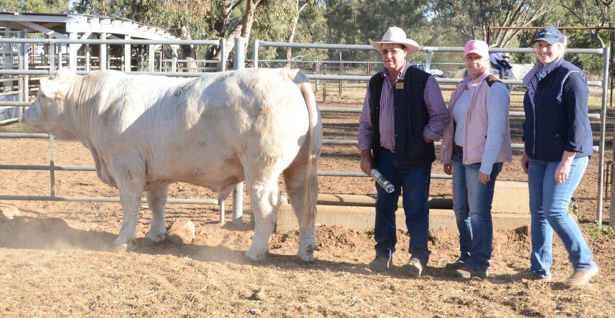 Temana L88E was purchased for $13,000 by long-time clients, Jackie Barker and Liz Hawkins, "Napperby", Mullaley, pictured with Temana studmaster, Terry Griffin.