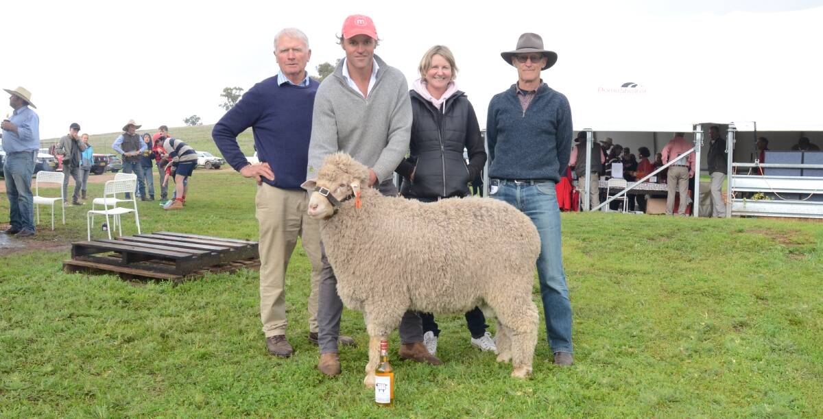 The $6500 sale-topper with buyers Gordon Lucas, Ninemile stud, Tarras, NZ, their classer Jayne Rive, and Alistair Campbell, Earnscleugh Station, Alexandra, NZ, with Chad Taylor holding ram.