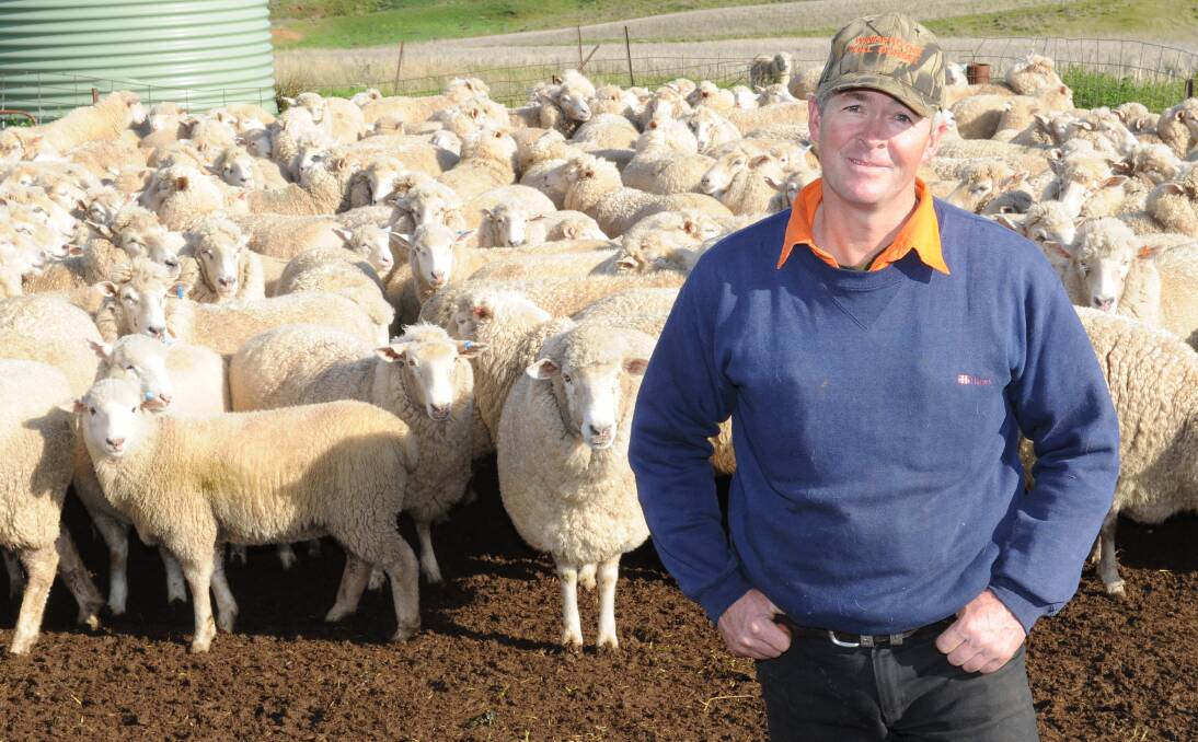 Greg Hamilton, "Charlesville", Canowindra, with his four month-old suckers by Windradyne Poll Dorset sires and their first cross mothers which lambed in March/April 2016 and again last October from double-up joining.