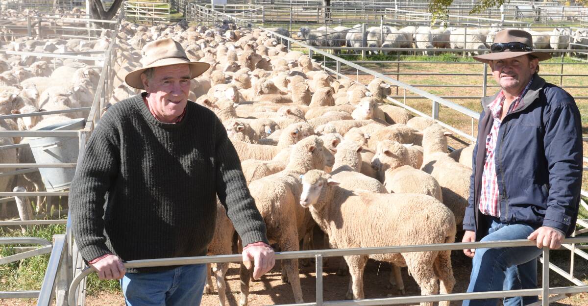 Condobolin agent Greg Moncrieff with Clive Swanston, "Stanwood Park", Condobolin, who paid $184 for 184 Dohne ewes rising two years, in lamb to White Suffolks.
