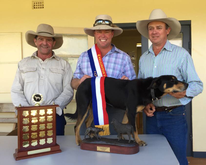 Sunraysia George took out his second NSW State Championship title at Wellington Showground today.
Handled by Justin Tombs, Harewood stud, Armidale, (centre), George is pictured with NSW Yard Dog Associatio president, Neville King, Capertee (left) and the trial's organiser, Tim Woods, Wingara stud, Bylong.