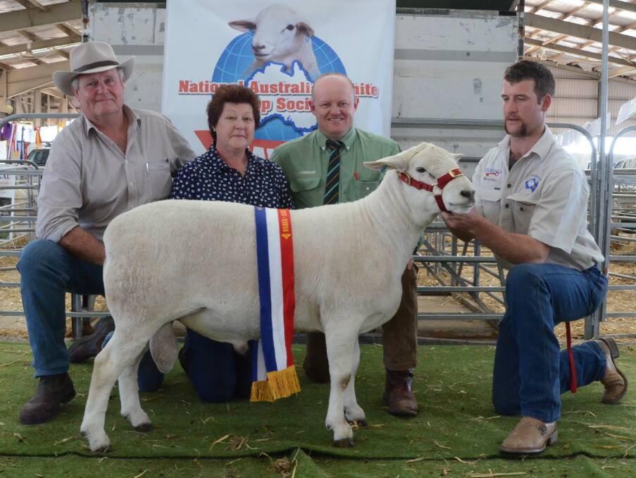 Intermediate champion from the Gilmore family’s Baringa stud, Oberon, made top money at $15,000 selling to Graham and Vivienne Lander, Landara stud, Wattle Flat, South Australia; pictured with John Settree, Landmark, Dubbo, and Brayden Gilmore holding the ram.