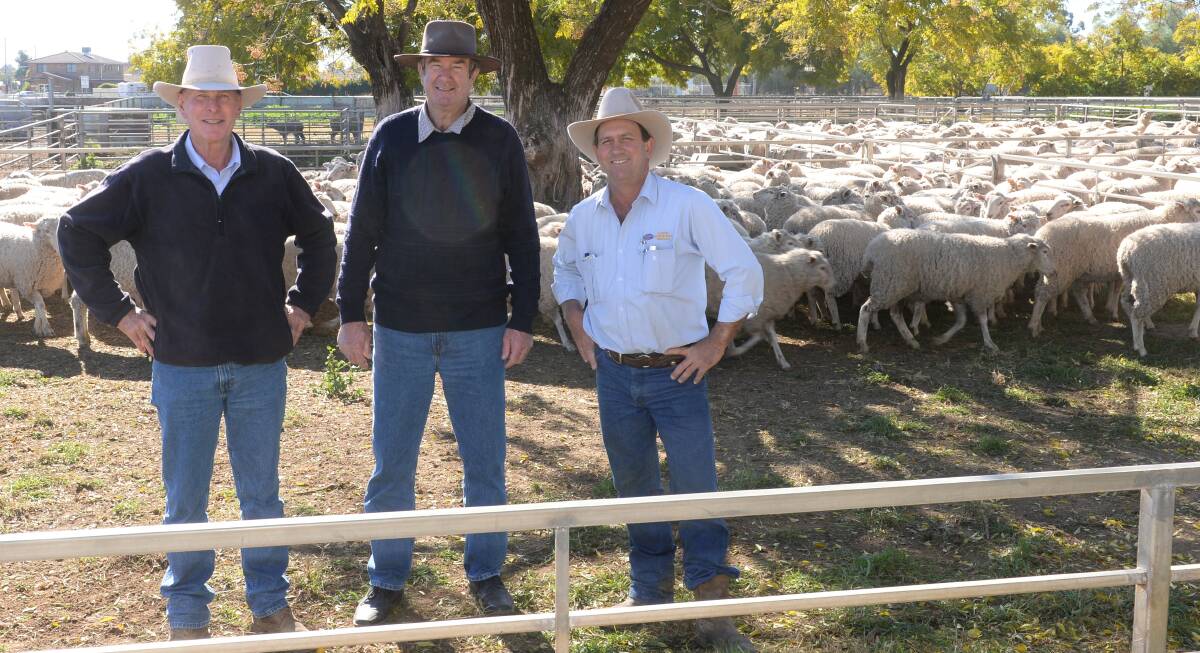 Jamie O'Brien, "Wattle Creek", Coonamble, with his $210 top first-cross ewes with agents, (left) Tony Mooy, Schute Bell, Coonamble, and (right) Jason Hartin, Narromine.